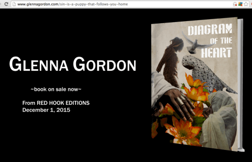Glenna Gordon's photo book Diagram of a Heart advertised on her site.